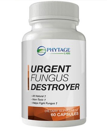 urgent fungus destroyer