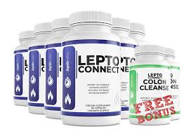 leptoconnect